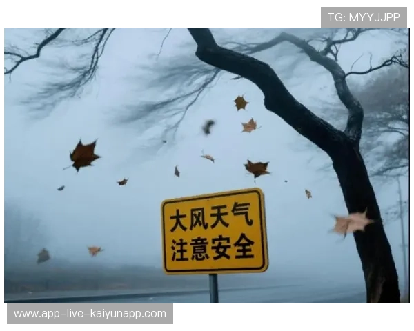 大风天气工人飘荡画面震撼，物业回应安全，大风天气的温馨提示